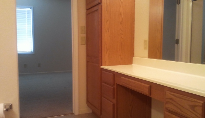 Bathroom counter & linen closet